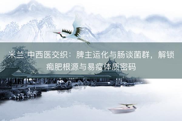 米兰 中西医交织：脾主运化与肠谈菌群，解锁痴肥根源与易瘦体质密码
