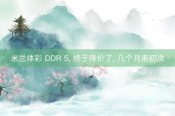 米兰体彩 DDR 5, 终于降价了, 几个月来初次